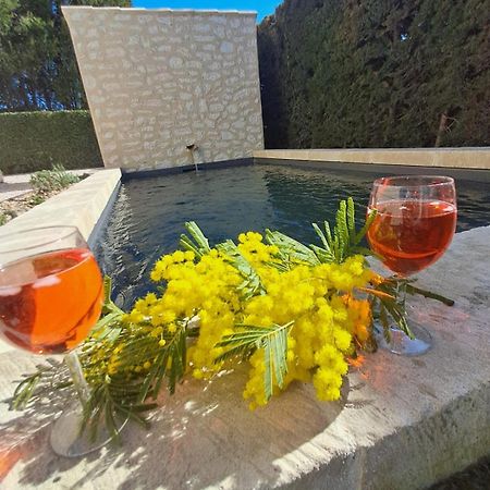 מאוסן לס אלפילס La Maison De Manon, 4-5Personnes, 75M2, Centre Village Avec Piscine Privee מראה חיצוני תמונה