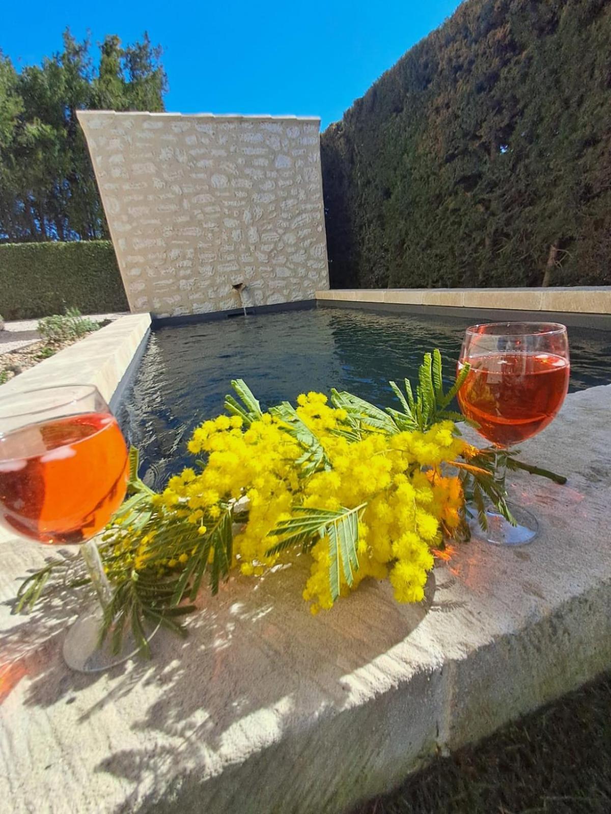 מאוסן לס אלפילס La Maison De Manon, 4-5Personnes, 75M2, Centre Village Avec Piscine Privee מראה חיצוני תמונה